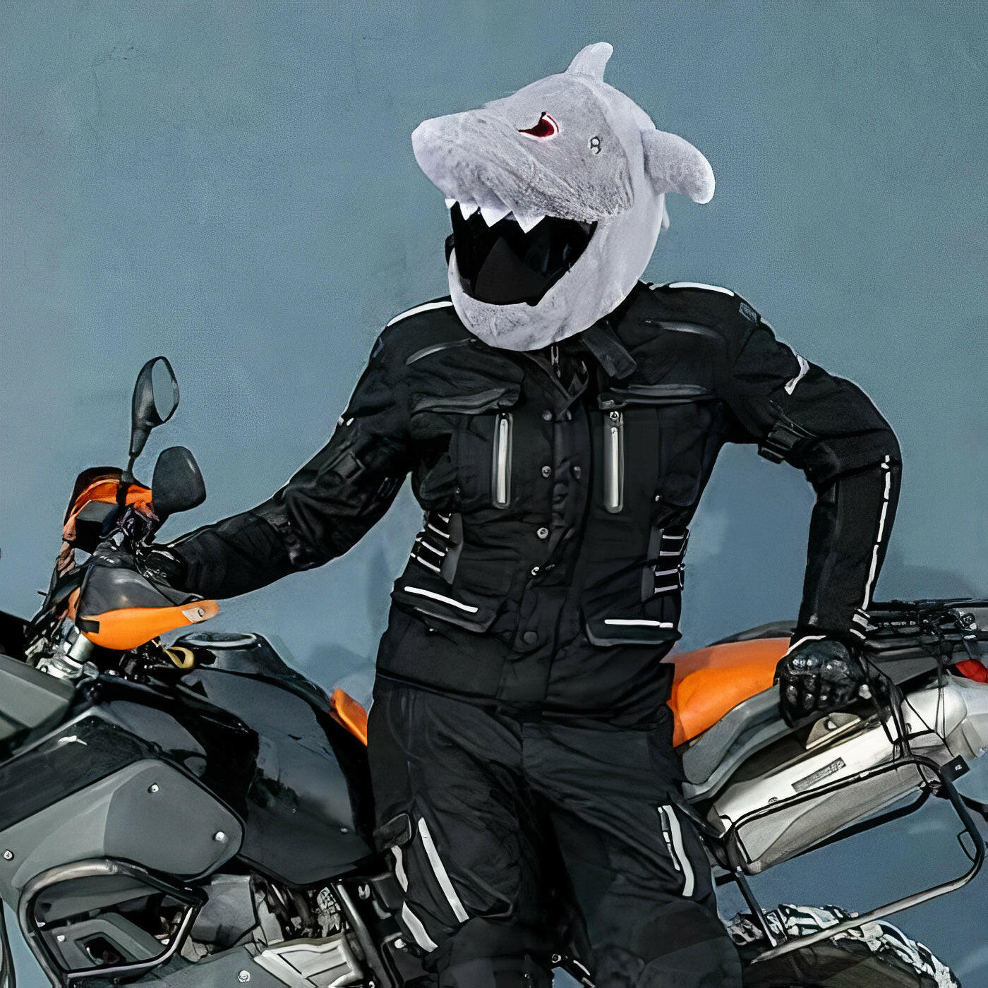 🦈 Funny helmet cover - Shark - Helmetcoverstore