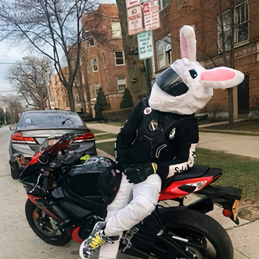 Funny helmet cover - Bunny